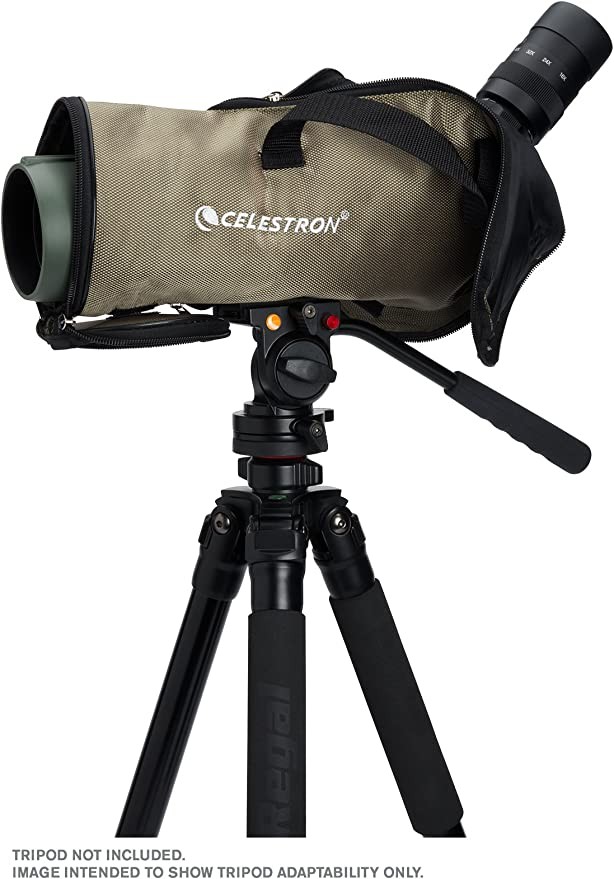 Celestron Regal M2 65ED Scope &ndash; ED Glass for Hunting, Birding & Outdoors &ndash; Phase and Dielectric Coated BaK-4 Prisms &ndash; Full Multi-Coated Optics &ndash; Bifocals &ndash; 16-48x Zoom Eyepieces