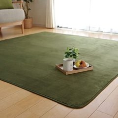 IKEHIKO Ikehiko and room carpet * deodorant solid color is about 92 &times; 185cm (can be used as electric blanket cover) green 185 &times; 185cm cm (approx. 2mm)